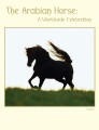 The Arabian Horse: A Worldwide Celebration Vol I