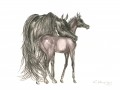 Mare & Foal Christmas Card